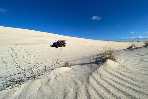 Small-Group Buggy Tour At Little Sahara With Guide - Accommodation Bookings 3