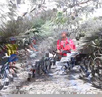2 Hour Bike Tour in Kangaroo Island - Accommodation Bookings