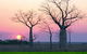 8-Day Outback Experience From Queensland - thumb 5