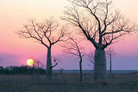 8-Day Outback Experience From Queensland - Accommodation Bookings 5