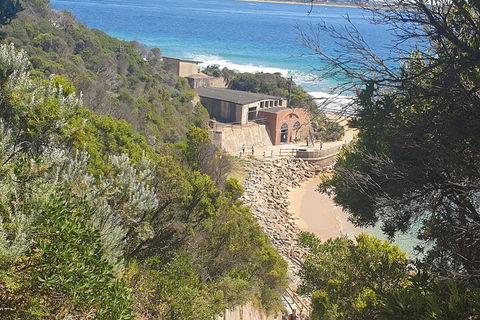 Fort Nepean And Quarantine Station Tour - Accommodation Bookings 4