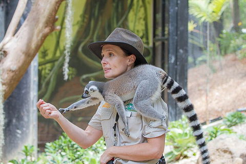 Currumbin Wildlife Sanctuary General Entry Ticket - Accommodation Bookings 1