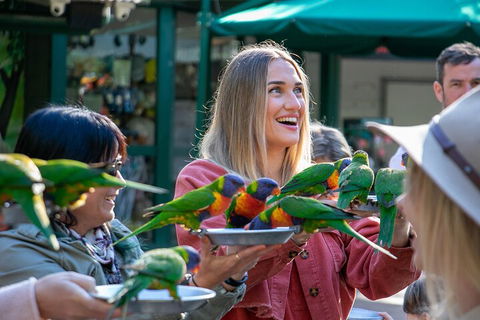 Currumbin Wildlife Sanctuary General Entry Ticket - Accommodation Bookings 3