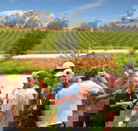 Yarra Valley Wine and Winery Tour from Melbourne - Accommodation Bookings