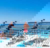 Calypso Outer Great Barrier Reef Cruise from Port Douglas - Accommodation Bookings