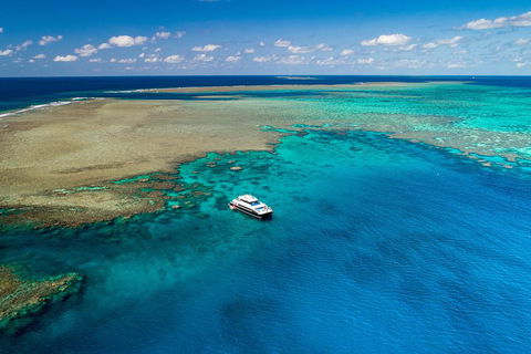 Calypso Outer Great Barrier Reef Cruise From Port Douglas - Accommodation Bookings 1