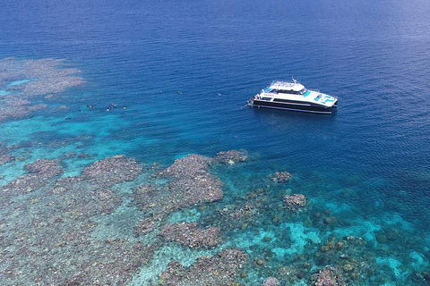 Calypso Outer Great Barrier Reef Cruise From Port Douglas - Accommodation Bookings 4