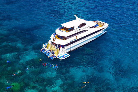 Great Barrier Reef Snorkeling And Diving Cruise From Cairns - Accommodation Bookings 5