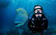 Full Day Reef Cruise Including 10 Minute Heli Scenic Flight: Get High Package - thumb 1