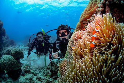 Full Day Reef Cruise Including 10 Minute Heli Scenic Flight: Get High Package - Accommodation Bookings 5
