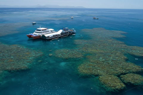 Cruise To Moore Reef Pontoon And Return Helicopter Flight From Cairns - Accommodation Bookings 0