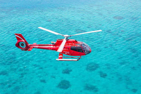 Cruise To Moore Reef Pontoon And Return Helicopter Flight From Cairns - Accommodation Bookings 1