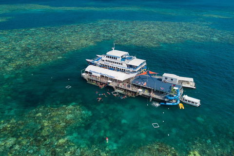 Cruise To Moore Reef Pontoon And Return Helicopter Flight From Cairns - Accommodation Bookings 2