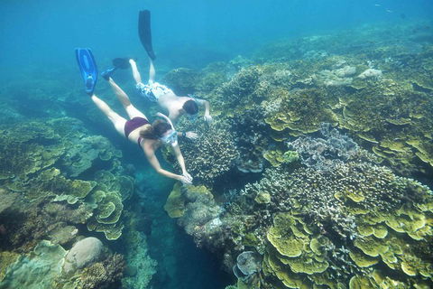 Cruise To Moore Reef Pontoon And Return Helicopter Flight From Cairns - Accommodation Bookings 3