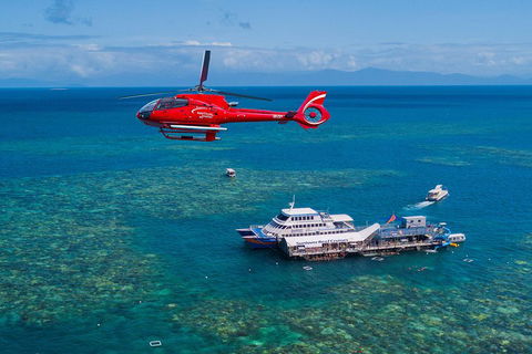 Cruise To Moore Reef Pontoon And Return Helicopter Flight From Cairns - Accommodation Bookings 4