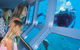 Helicopter And Cruise Packages From Port Douglas - thumb 0