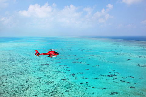 Helicopter And Cruise Packages From Port Douglas - Accommodation Bookings 1