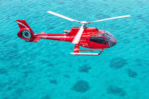 Helicopter And Cruise Packages From Port Douglas - Accommodation Bookings 5