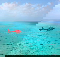 Port Douglas Scenic Flights - Accommodation Bookings