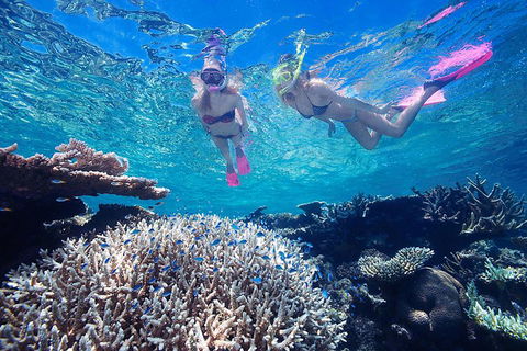 Cruise Out And Cruise Return, Plus 10 Minute Scenic Flight - Accommodation Bookings 5