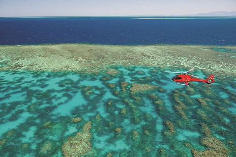 Ultimate Great Barrier Reef And Rainforest 45-minute Helicopter Tour - Accommodation Bookings 1