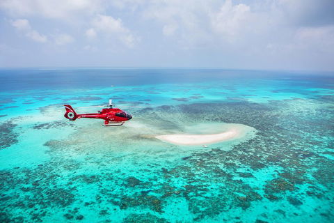 Ultimate Great Barrier Reef And Rainforest 45-minute Helicopter Tour - Accommodation Bookings 3