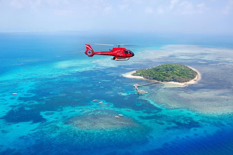 Ultimate Great Barrier Reef And Rainforest 45-minute Helicopter Tour - Accommodation Bookings 4