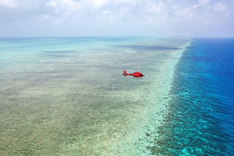 Ultimate Great Barrier Reef And Rainforest 45-minute Helicopter Tour - Accommodation Bookings 5