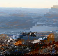Mt. Wellington Bonorong and Richmond Day Tour from Hobart - Accommodation Bookings