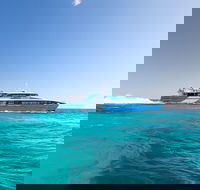 Fremantle to Rottnest Island Roundtrip Ferry Ticket - Accommodation Bookings