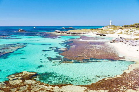 Rottnest Island All-Inclusive Grand Island Tour From Fremantle - Accommodation Bookings 1