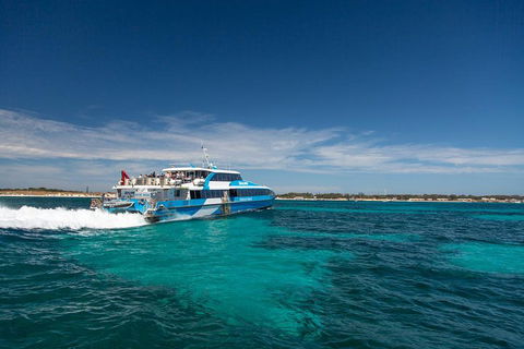 Rottnest Island All-Inclusive Grand Island Tour From Fremantle - Accommodation Bookings 3
