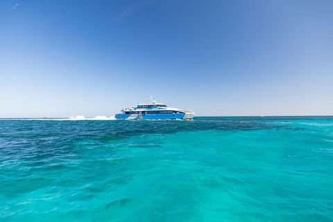 Rottnest Island Fortress Adventure Segway Package From Fremantle - Accommodation Bookings 0