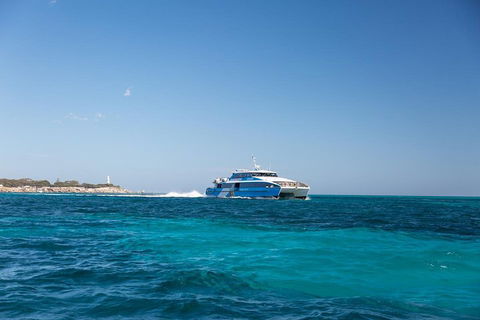 Rottnest Island Bike & Ferry Package From Perth - Accommodation Bookings 2