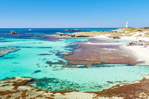 Rottnest Island Bayseeker Day Trip From Perth - Accommodation Bookings 4