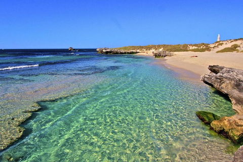 Rottnest Island Bayseeker Day Trip From Perth - Accommodation Bookings 5