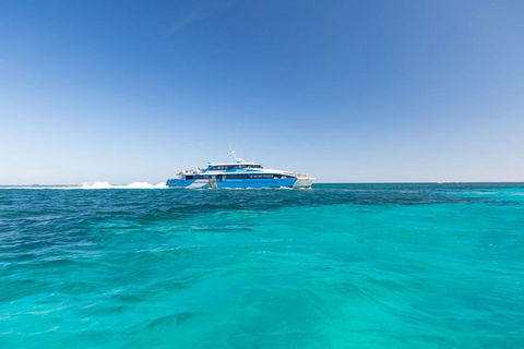 Rottnest Island Settlement Explorer Segway Package From Perth - Accommodation Bookings 1