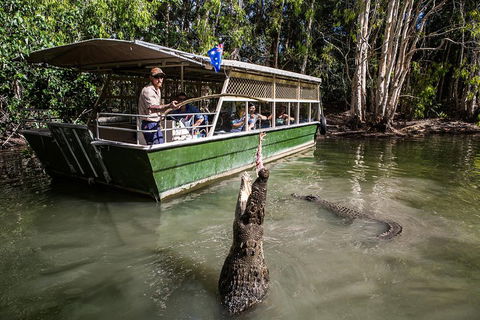 Hartley's Crocodile Adventures Day Trip From Palm Cove - Accommodation Bookings 2