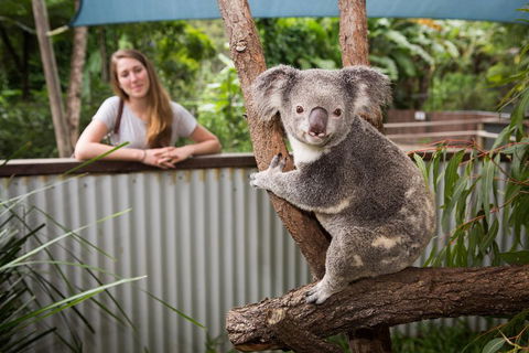 Hartley's Crocodile Adventures Day Trip From Palm Cove - Accommodation Bookings 5