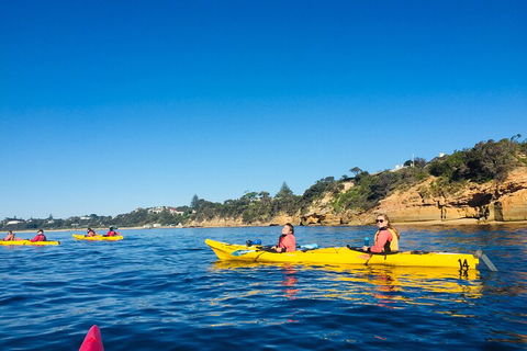 Mornington Peninsula Kayak Coastline Tour Of Dolphin Sanctuary - Accommodation Bookings 1