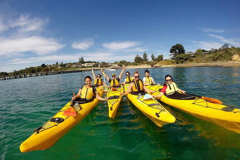 Mornington Peninsula Kayak Coastline Tour Of Dolphin Sanctuary - Accommodation Bookings 2