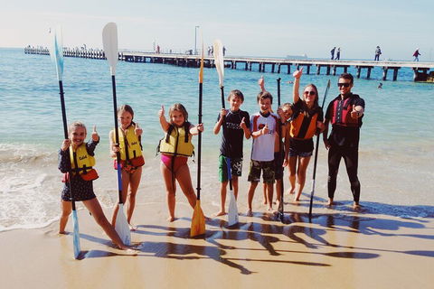 Mornington Peninsula Kayak Coastline Tour Of Dolphin Sanctuary - Accommodation Bookings 3