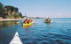 Mornington Peninsula Kayak Coastline Tour Of Dolphin Sanctuary - thumb 5