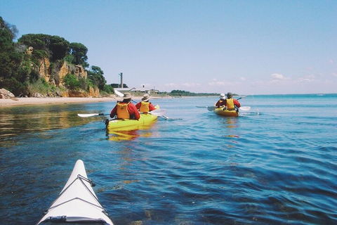 Mornington Peninsula Kayak Coastline Tour Of Dolphin Sanctuary - Accommodation Bookings 5