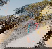 Self-Guided Point Nepean National Park Bike Hire - Accommodation Bookings