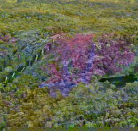 Litchfield Park  Daly River - Scenic Flight From Darwin - Accommodation Bookings