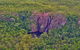 Litchfield Park Scenic Flight From Darwin - thumb 1