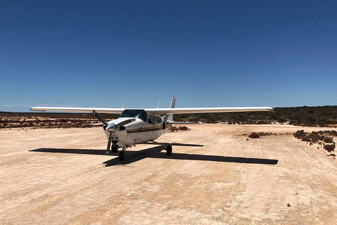 Kalbarri Gorges & West Coast - Ground & Air Tour - Accommodation Bookings 4