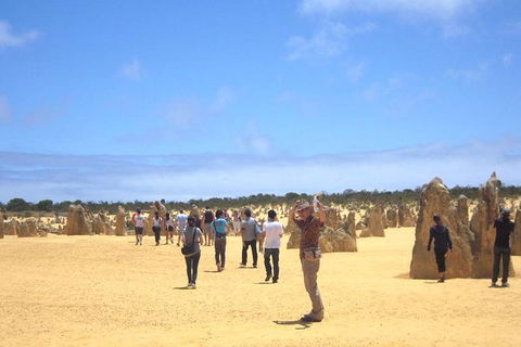 Pinnacles & Rottnest Island Scenic Air & Ground Tour - Accommodation Bookings 3
