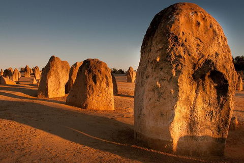 Pinnacles & Rottnest Island Scenic Air & Ground Tour - Accommodation Bookings 4